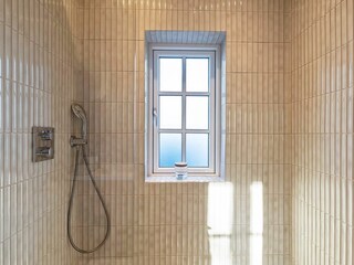 Ferienhaus Blåvand  4