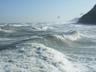 Vakantiehuis Sainte-Honorine-des-Pertes Omgeving 36