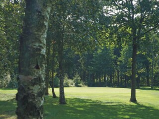 Ferienhaus Sommerodde  12