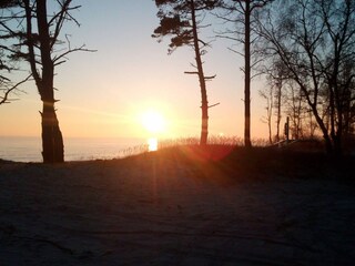 Ferienhaus Sommerodde  18