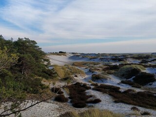 Casa de vacaciones Sommerodde  20