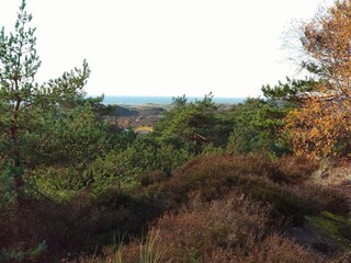 Holiday house Sommerodde  40