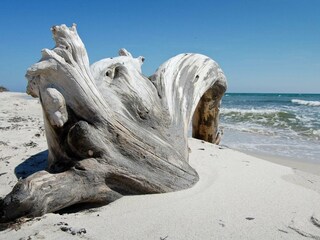 Casa de vacaciones Sommerodde  21