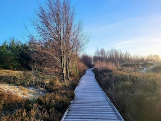 Ferienhaus Sommerodde  27