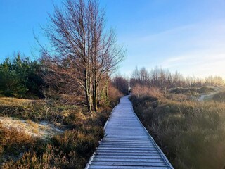 Vakantiehuis Sommerodde  35