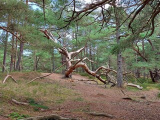 Casa per le vacanze Sommerodde  23