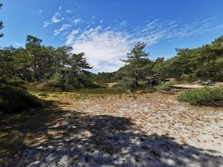 Vakantiehuis Sommerodde  37