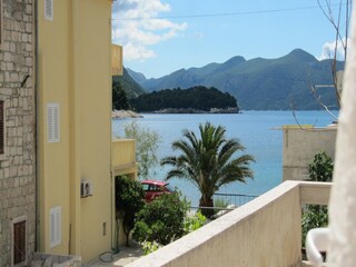Vakantiehuis Trstenik  38