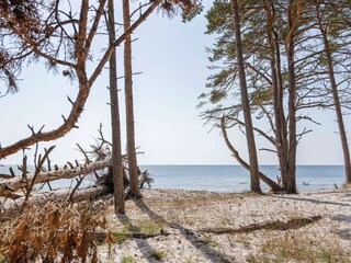 Vakantiehuis Sommerodde  59