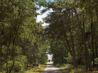 Vakantiehuis Sommerodde  60
