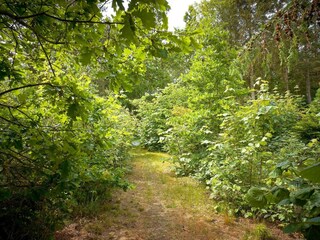 Vakantiehuis Snogebæk  18