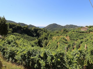 Ferienhaus Miane Außenaufnahme 4