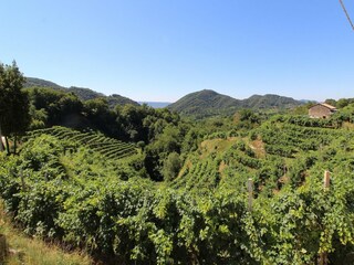 Ferienhaus Miane Außenaufnahme 8