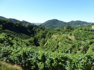 Vakantiehuis Miane Buitenaudio-opname 10