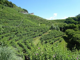 Ferienhaus Miane Außenaufnahme 7