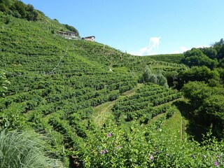 Holiday house Miane Outdoor Recording 10