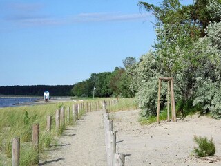 Casa per le vacanze Lubmin Ambiente 10