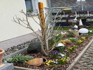 Vakantiehuis Lubmin Buitenaudio-opname 9