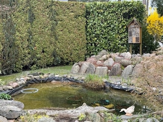 Vakantiehuis Lubmin Buitenaudio-opname 10