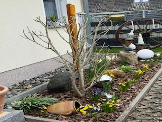 Ferienhaus Lubmin Außenaufnahme 10