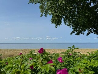 Vakantiehuis Lubmin Omgeving 38