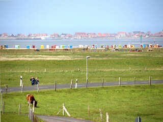 Maison de vacances Neßmersiel Environnement 24