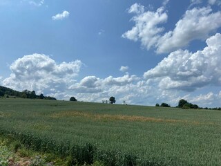 Casa per le vacanze Lierneux Ambiente 39