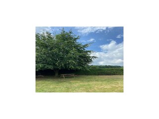 Casa de vacaciones Lierneux Grabación al aire libre 6