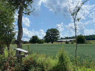 Holiday house Lierneux Outdoor Recording 7