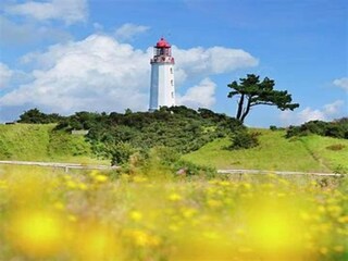 Appartamento Vitte Ambiente 33