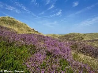 Appartement Vitte Environnement 33