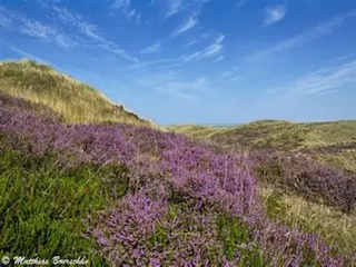 Appartement Vitte Omgeving 33