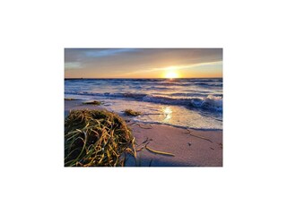 Apartment Vitte Umgebung 31