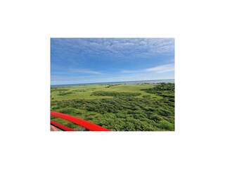 Appartement Vitte Environnement 40