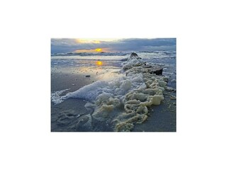 Appartement Vitte Environnement 12