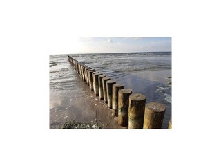 Apartamento Vitte Entorno 10