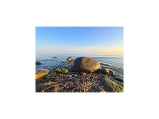 Appartement Vitte Environnement 16