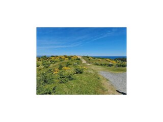 Apartamento Vitte Entorno 32