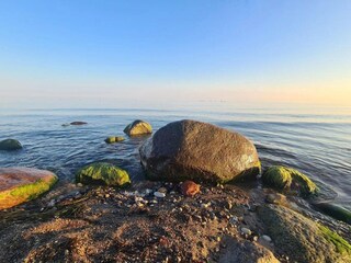 Apartment Vitte Environment 8