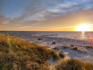 Appartement Vitte Environnement 20