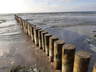 Apartment Vitte Environment 28