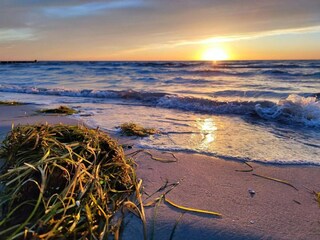 Appartement Vitte Omgeving 37