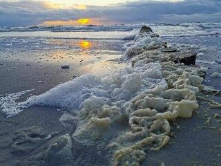 Appartement Vitte Omgeving 39