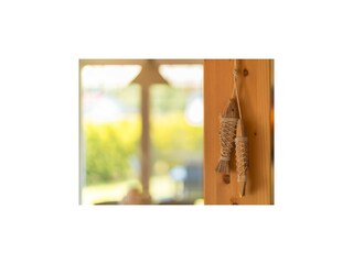 Casa per le vacanze Dümmer (Mecklenburg)  38