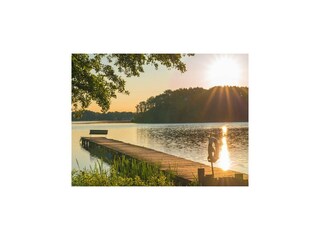 Casa de vacaciones Dümmer (Mecklenburg) Entorno 28