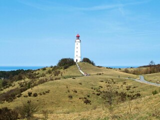 Apartment Vitte Environment 11