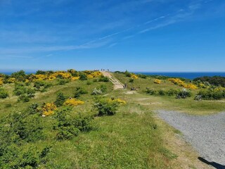 Apartment Vitte Umgebung 20