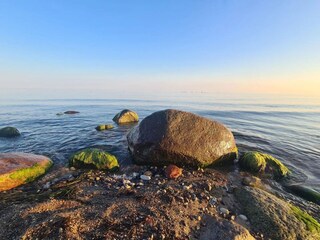 Appartement Vitte Environnement 28