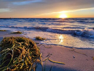 Apartment Vitte Environment 32