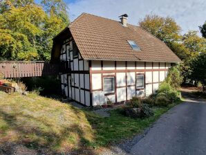 Appartement Vakantiewoningen in Frankenau - Kellerwald - image1